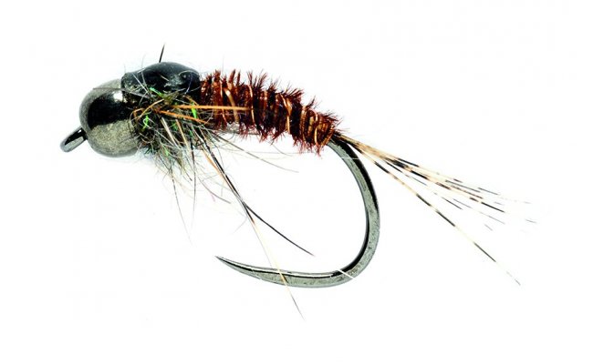 Tungstenov nymfa Baant ocas s ernou hlavikou Tungstenov nymfa Baant ocas s ernou hlavikou, vel. 14