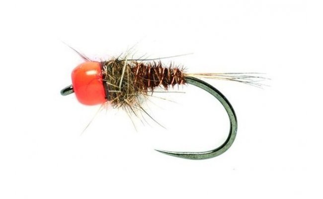 Tungstenov nymfa Baant ocas s oranovou hlavikou Tungstenov nymfa Baant ocas s oranovou hlavikou, vel. 14