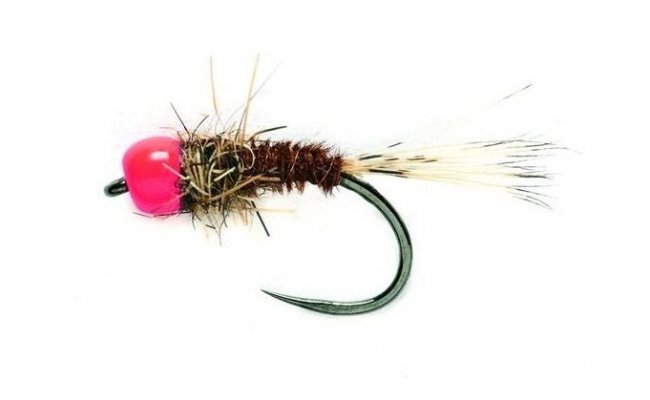 Tungstenov nymfa Baant ocas s rovou hlavikou Tungstenov nymfa Baant ocas s rovou hlavikou, vel. 14