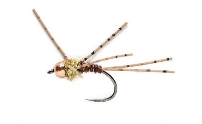 Tungstenov nymfa Baant ocas se zlatm lmekem Tungstenov nymfa Baant ocas se zlatm lmekem, vel. 12