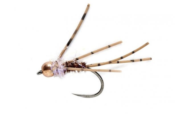 Tungstenov� nymfa Ba�ant� ocas s fialov�m l�me�kem Tungstenov� nymfa Ba�ant� ocas s fialov�m l�me�kem, vel. 12