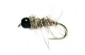 Tungstenov nymfa Goddardovo Zaje ouko  Tungstenov nymfa Goddardovo Zaje ouko, vel. 14