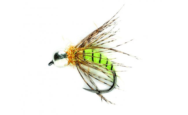 Tungstenov� nymfa - Kukla chrost�ka Grannom zelen� Tungstenov� nymfa - Kukla chrost�ka Grannom zelen�, vel. 12