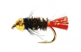 Tungstenov nymfa Rudoitka se zlatou hlavikou Tungstenov nymfa Rudoitka se zlatou hlavikou, vel. 12