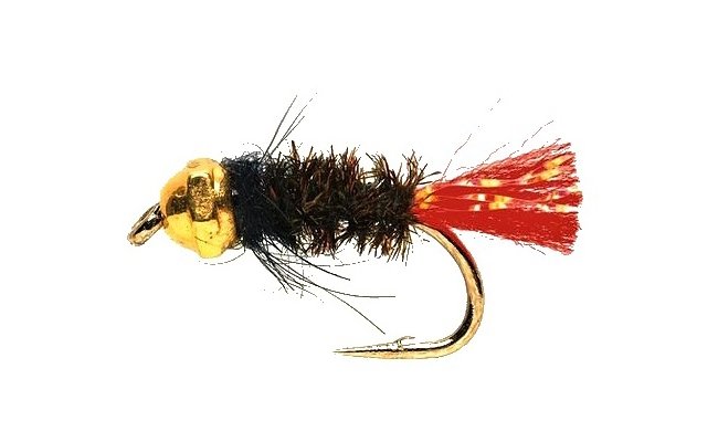 Tungstenov nymfa Rudoitka se zlatou hlavikou Tungstenov nymfa Rudoitka se zlatou hlavikou, vel. 12