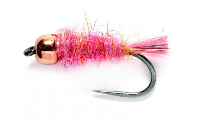 Tungstenov nymfa s mdnou hlavikou rov Tungstenov nymfa s mdnou hlavikou rov, vel. 14