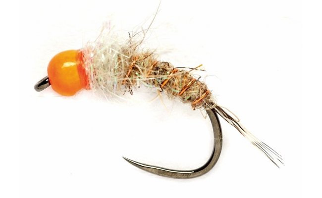 Tungstenov nymfa s oranovou hlavikou Tungstenov nymfa s oranovou hlavikou, vel. 14