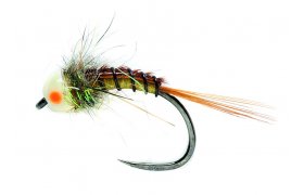 Tungstenov nymfa s vraznou hlavikou olivov Tungstenov nymfa s vraznou hlavikou olivov, vel. 14