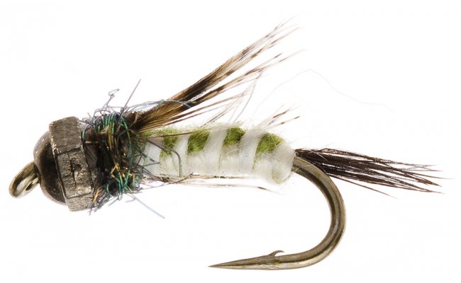 Tungstenov� nymfa se spl�tan�m t�l��kem b�l� Tungstenov� nymfa se spl�tan�m t�l��kem b�l�, vel. 12