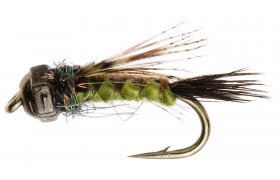 Tungstenov nymfa se spltanm tlkem olivov Tungstenov nymfa se spltanm tlkem olivov, vel. 12