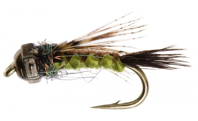 Tungstenov nymfa se spltanm tlkem olivov Tungstenov nymfa se spltanm tlkem olivov, vel. 12