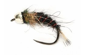 Tungstenov nymfa se stbrnou hlavikou ern Tungstenov nymfa se stbrnou hlavikou ern, vel. 14