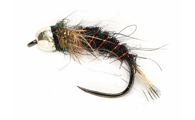 Tungstenov nymfa se stbrnou hlavikou ern Tungstenov nymfa se stbrnou hlavikou ern, vel. 14