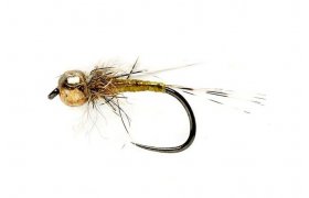 Tungstenov nymfa se zlatou hlavikou olivov Tungstenov nymfa se zlatou hlavikou olivov, vel. 16