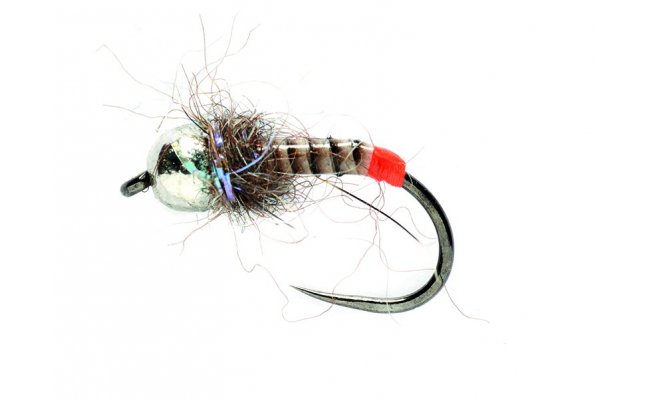 Tungstenov nymfa ed brko s ervenm tipem Tungstenov nymfa ed brko s ervenm tipem, vel. 14