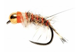 Tungstenov nymfa Zaje ouko hndo-oranov Tungstenov nymfa Zaje ouko hndo-oranov, vel. 12