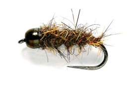 Tungstenov nymfa Zaje ouko s ernou hlavikou Tungstenov nymfa Zaje ouko s ernou hlavikou, vel. 14
