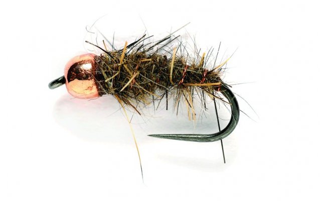 Tungstenov nymfa Zaje ouko s mdnou hlavikou Tungstenov nymfa Zaje ouko s mdnou hlavikou, vel. 14