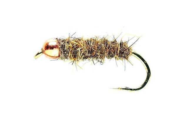 Tungstenov nymfa Zaje ouko Tungstenov nymfa Zaje ouko, vel. 14