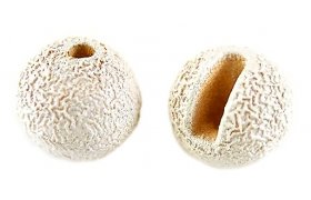 Tungstenov kuliky Knapek Hooks SUNNY Bl Tungstenov kuliky Knapek Hooks SUNNY Bl 2,0 mm, 10 pcs