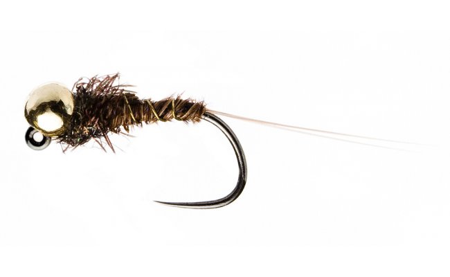 Tungstenov jig Baant ocas s blmi zrodky kdel Tungstenov jig Baant ocas s blmi zrodky kdel, vel. 14