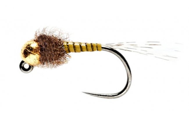 Tungstenov jig nymfa mjovky luto-olivov Tungstenov jig nymfa mjovky luto-olivov, vel. 14