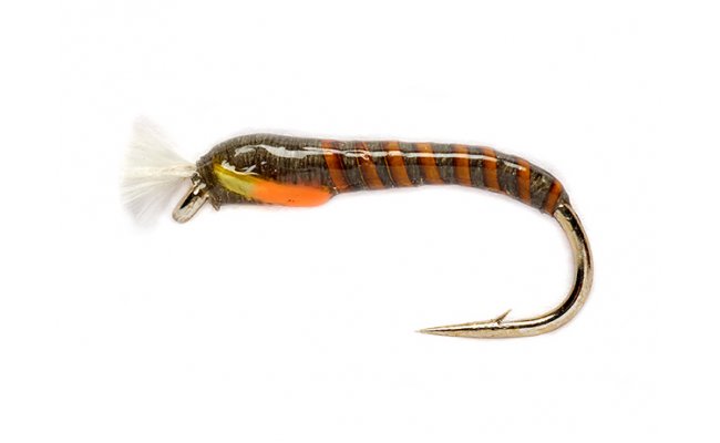 Two Tone Buzzer Olive Two Tone Buzzer Olive, vel. 10