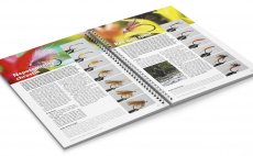 Nahldnut do knihy - Nepotopiteln chrostk & Red Quill Spent