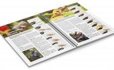 Nahldnut do knihy - Vyebrodsk chrostk & Daisy Shrimp