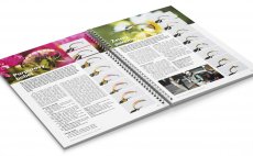 Nahldnut do knihy - Purpurov bobe & Zelen pakomr