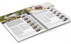 Nahldnut do knihy - ed rybika & Such bibio