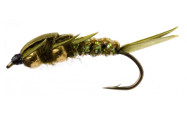 Velk� larva po�vatky se zlatou hrud� olivov� Velk� larva po�vatky se zlatou hrud� olivov�, vel. 10