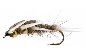 Velk larva povatky se zlatou hrud prodn Velk larva povatky se zlatou hrud prodn, vel. 10