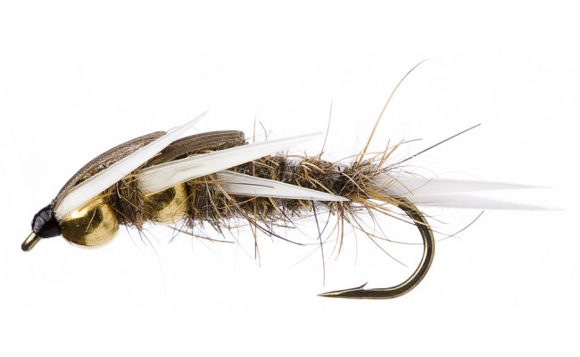 Velk larva povatky se zlatou hrud prodn Velk larva povatky se zlatou hrud prodn, vel. 10