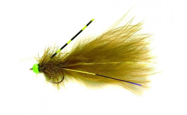 Velk� larva �id�lka s fluo zelenou hlavi�kou Velk� larva �id�lka s fluo zelenou hlavi�kou, vel. 10