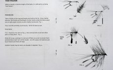 Ukzka techniky palmer