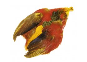 Veniard Golden Pheasant Complete Body ... Veniard Golden Pheasant Complete Body Skin - Ba�ant zlato�lut� p��rodn�
