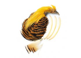 Veniard Golden Pheasant Complete Head ... Veniard Golden Pheasant Complete Head - Ba�ant zlato�lut� Kvalita 1 - p��rodn�