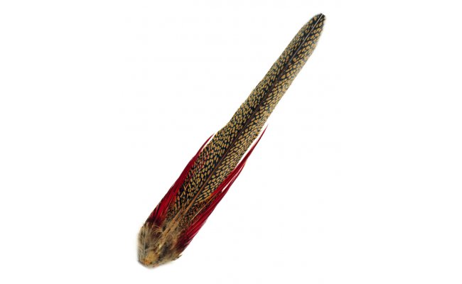 Veniard Golden Pheasant Complete Tail - Ocas Ba�anta zlato�lut�ho Veniard Golden Pheasant Complete Tail - Ocas Ba�anta zlato�lut�ho
