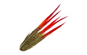 Veniard Golden Pheasant Red Spears - Ocas Ba�anta zlato�lut�ho Veniard Golden Pheasant Red Spears - Ocas Ba�anta zlato�lut�ho