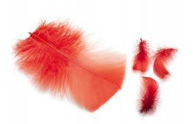 Veniard Ibis & Indian Crow Substitute Feathers Veniard Ibis & Indian Crow Substitute Feathers Ibis