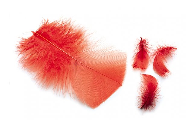 Veniard Ibis & Indian Crow Substitute Feathers Veniard Ibis & Indian Crow Substitute Feathers Ibis