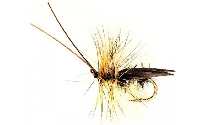 Vrn napodobenina dosplho chrostka erno-ed Vrn napodobenina dosplho chrostka erno-ed, vel. 10