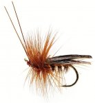 Sedge Saville Super Dark Brown