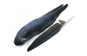 Vrna kdlo Veniard Crow Whole Wings Vrna kdlo Veniard Crow Whole Wings