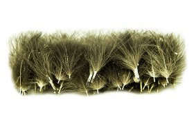 Vbrov CDC pe Quill & Fly 50 ks tmav prodn Vbrov CDC pe Quill & Fly 50 ks tmav prodn