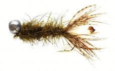 Peeping Caddis Olive