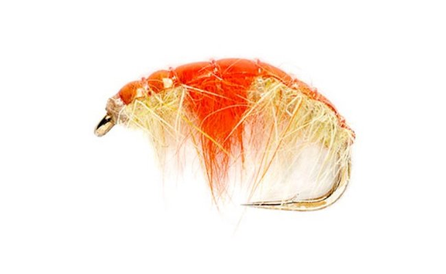 V�razn� zbarven� ble�ivec s oran�ov�m srd��kem V�razn� zbarven� ble�ivec s oran�ov�m srd��kem, vel. 12