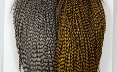 grizzly dun/grizzly olivov