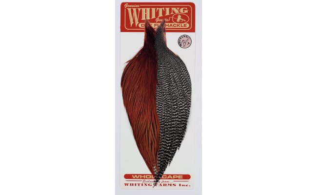 Whiting Combo Starter Whiting Combo Starter grizzly/hnd